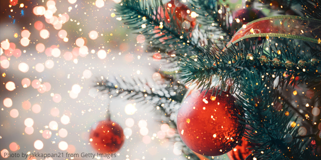 A close-up of a Christmas tree decorated with red baubles