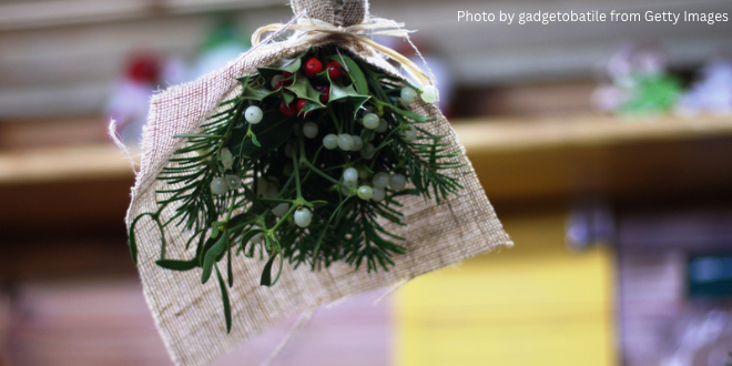 Sprigs of mistletoe hanging up