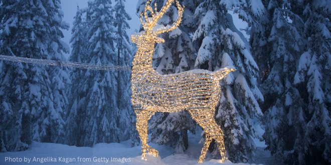 A reindeer decorated with lights outside in the snow