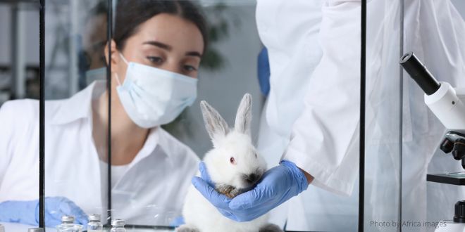 Two people, one wearing a mask in a laboratory with a white rabbit