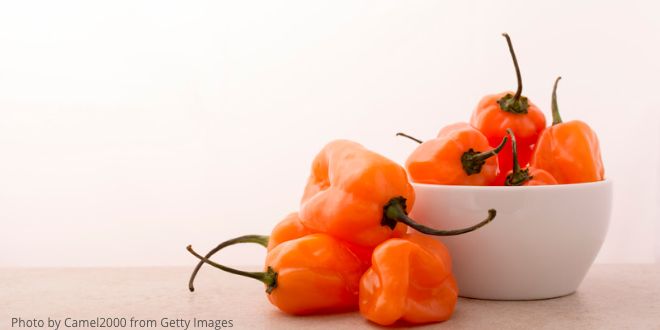 A bowl of sweet peppers?